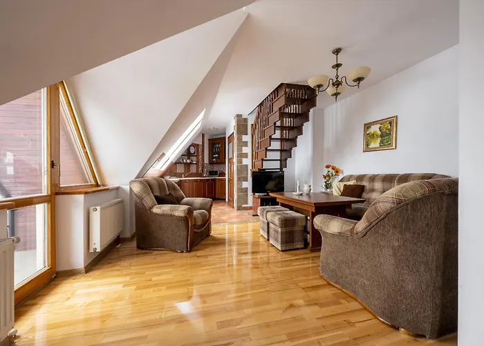 ApartSerwis Orkana Oli